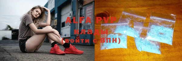 прущие грибы Абдулино