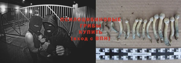 винт Алексеевка