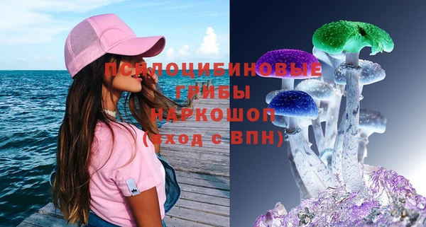 прущие грибы Абдулино