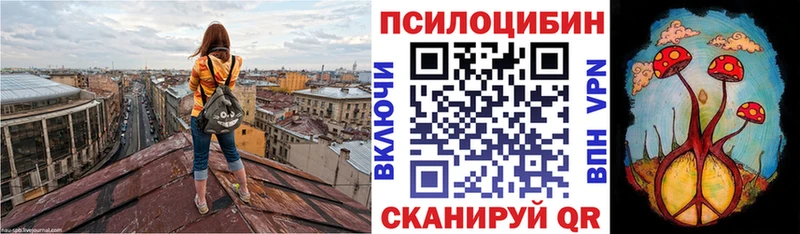 цена   Трубчевск  Галлюциногенные грибы прущие грибы 
